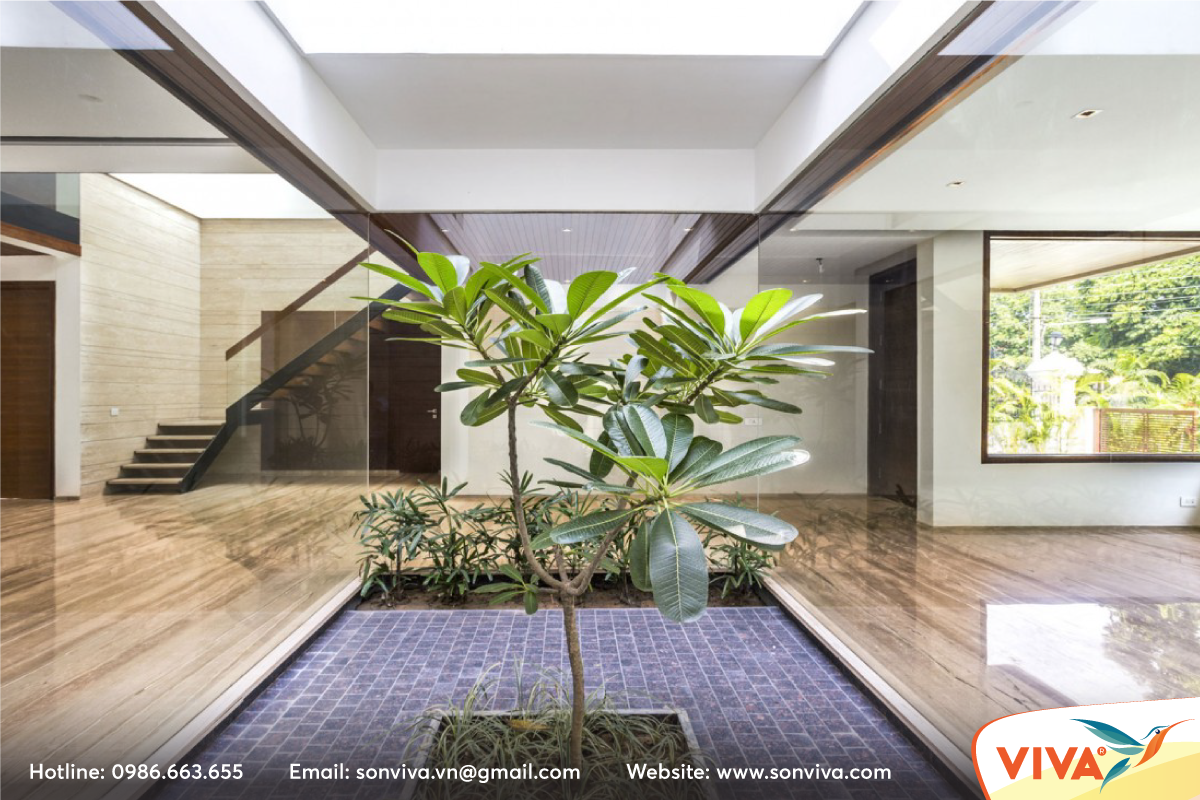 TRỒNG CÂY XANH TRONG NHÀ PHỐ VỪA TƯƠI MÁT VỪA HIỆN ĐẠI